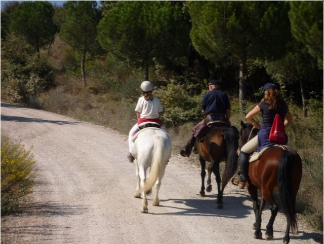 Descubre Perugia a caballo